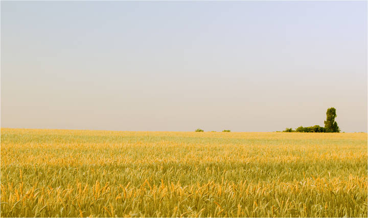 Рссвело