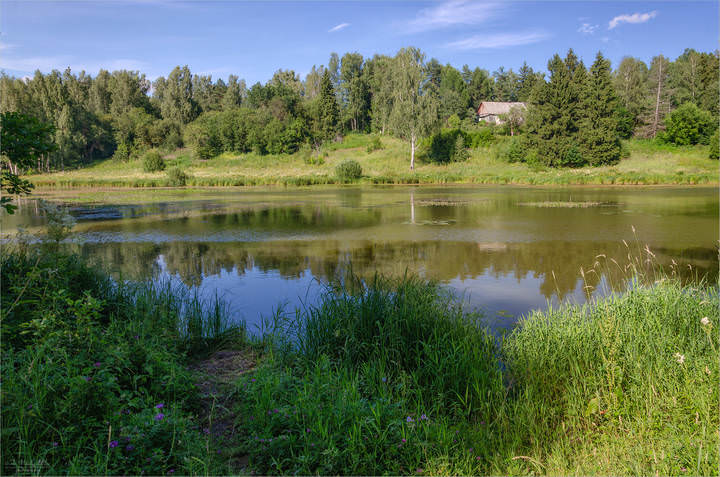 На берегу речки Вори