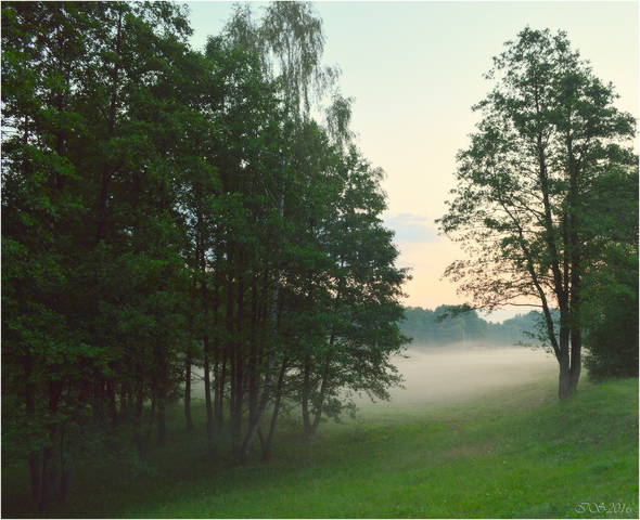 летним утром