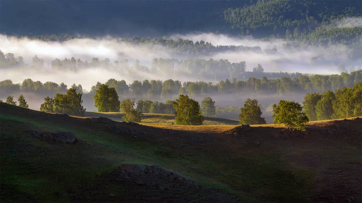 Рассветное