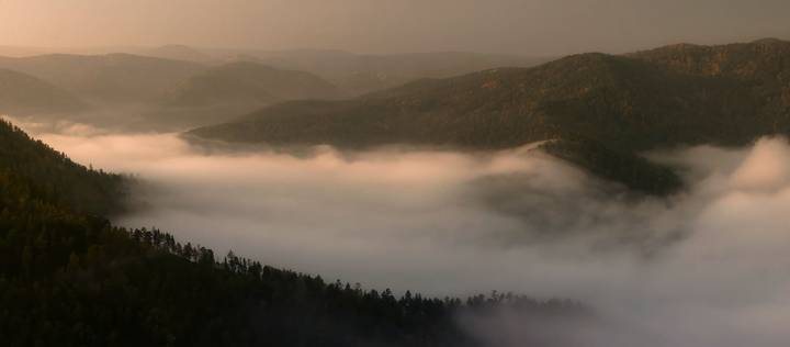 Просыпается природа.