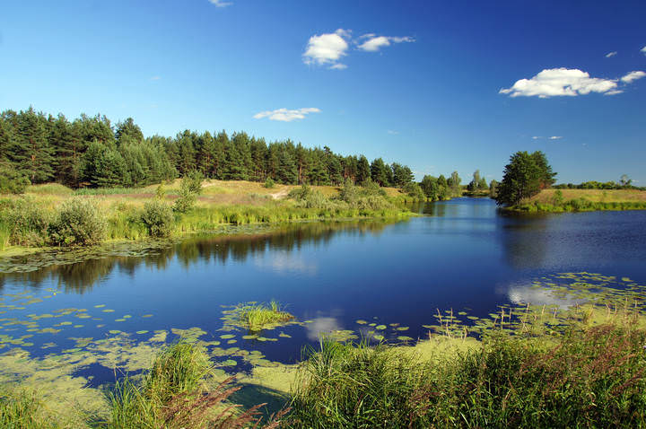 Полдень