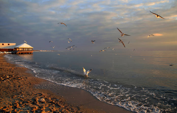 Азовское море 