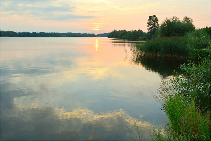 розовый рассвет