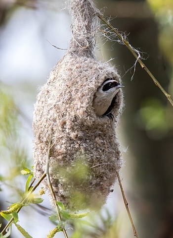 # 6