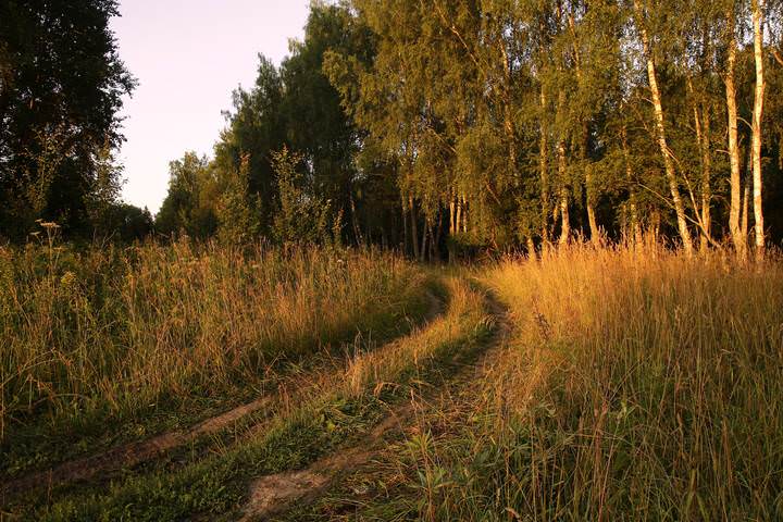 Дорожка утра