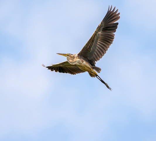 # 4