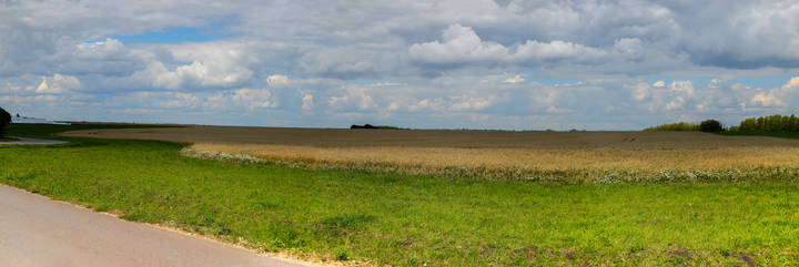 Панорама Русское Поле.