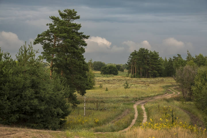 Перед грозой