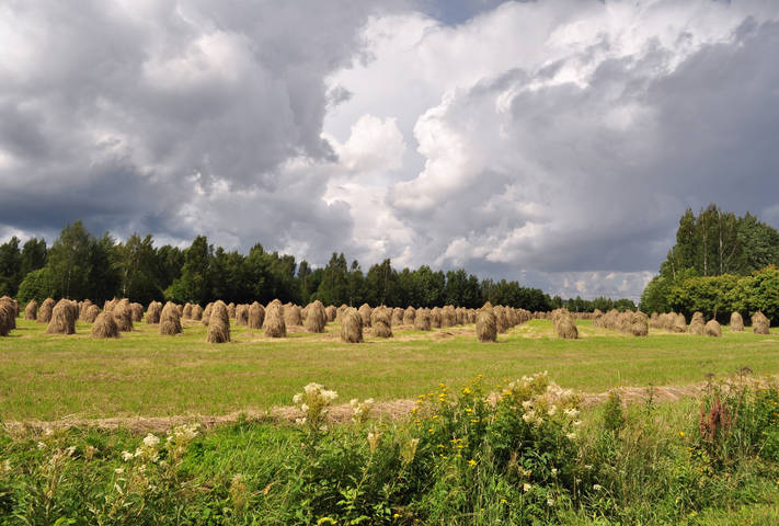 # 1