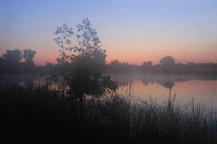 На заре