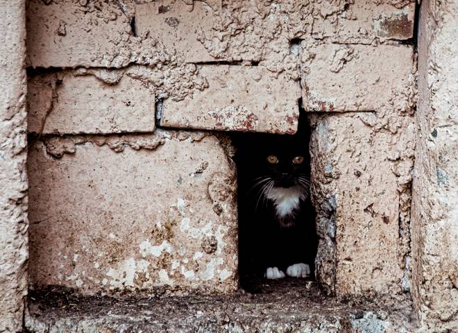 just another brick in the wall