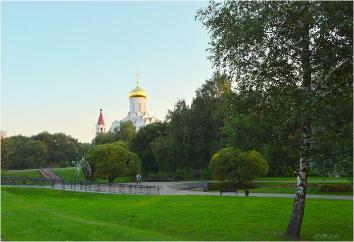 утро в парке