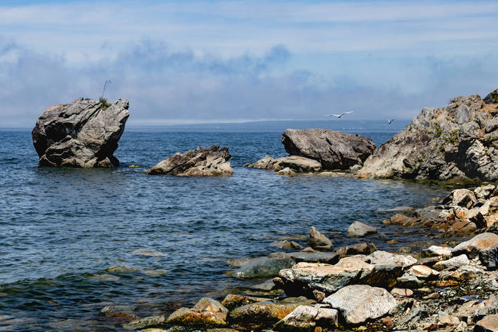Морская черепаха :)