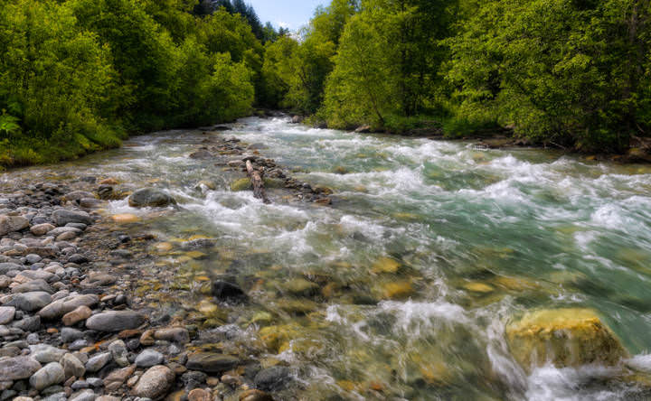 Водичка