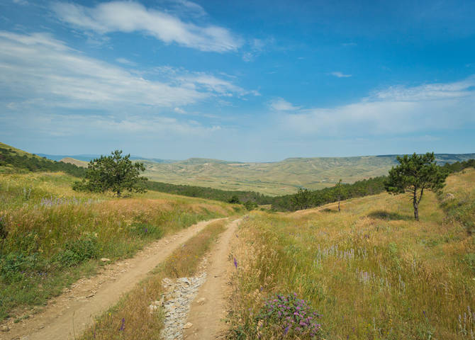 Дорога в даль