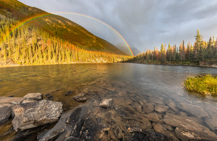 Catch the Rainbow