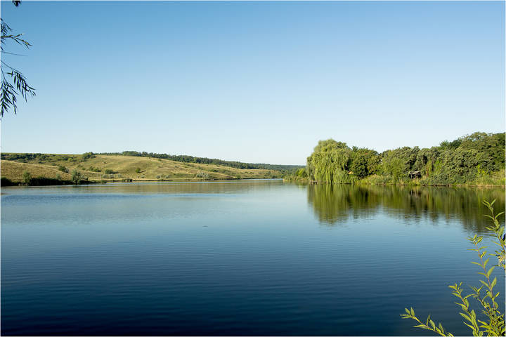 Пруд в утренних лучах
