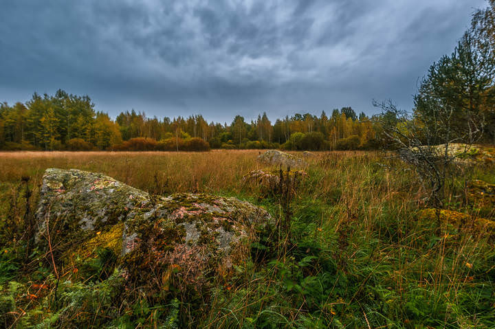 Карелия