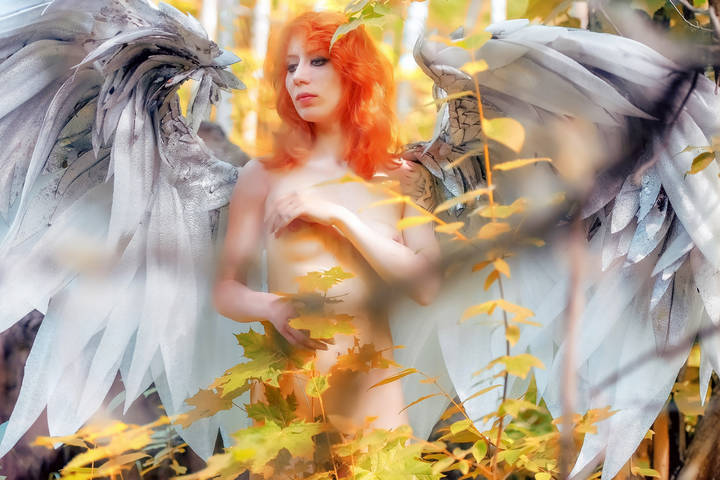 Fallen