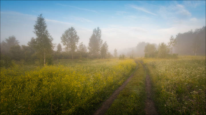 Утренняя прогулка