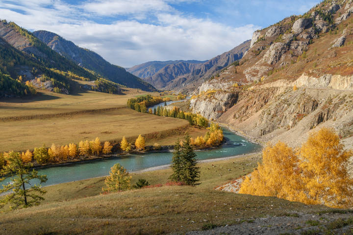 Осенняя Чуя