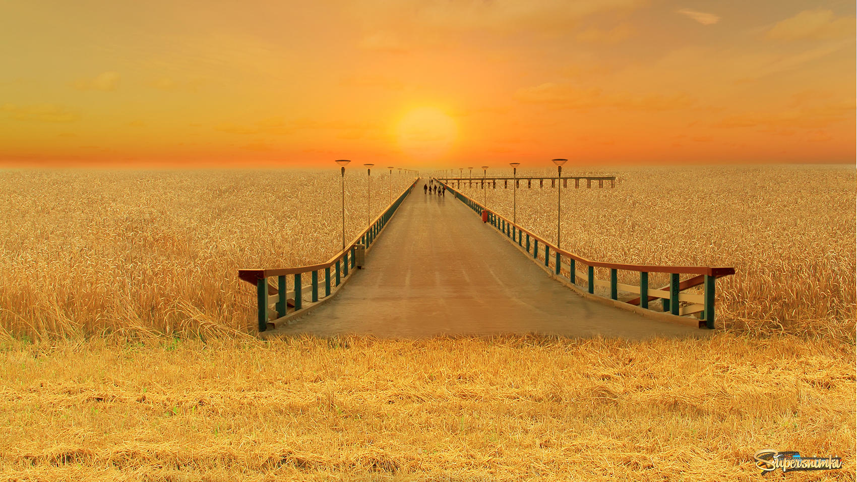 Мост через море пшеницы
