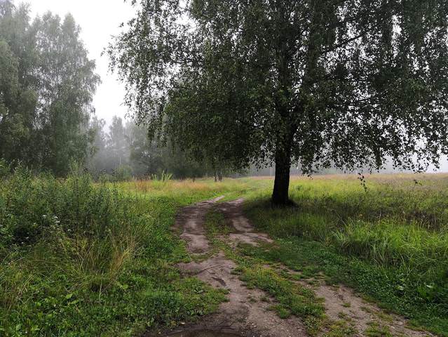 Утро с дымкой