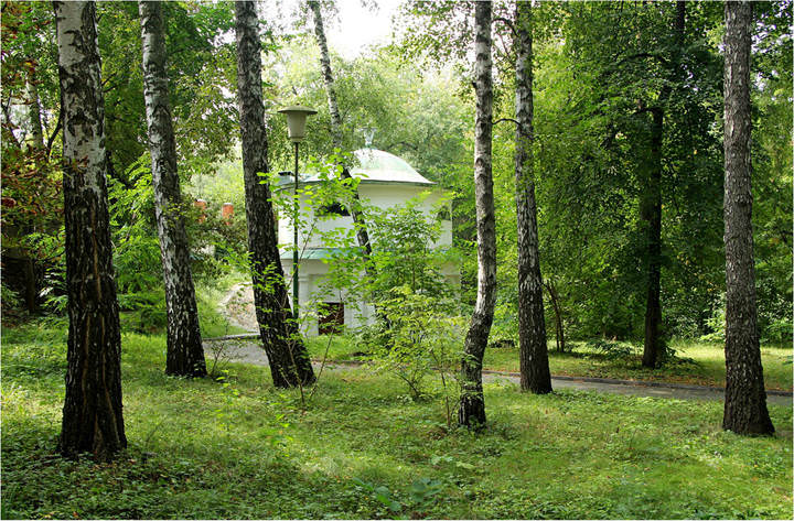 Зелёная мельница