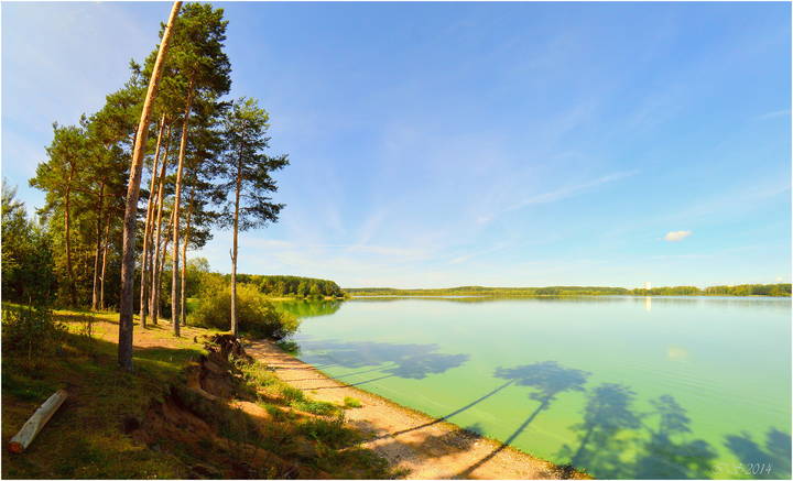 когда "цветёт" вода
