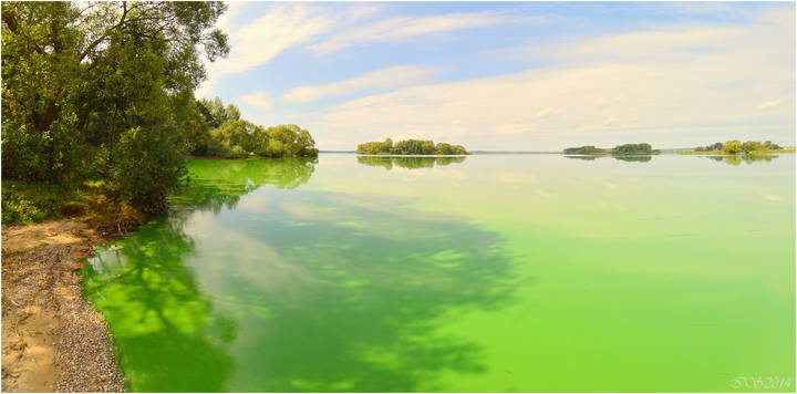 когда "цветёт" вода *