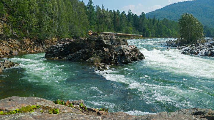 Указатель уровня воды.