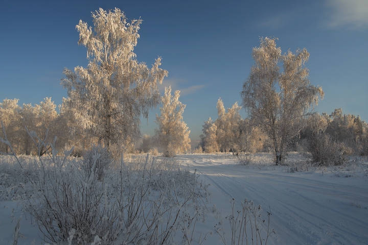 Вдоль дороги