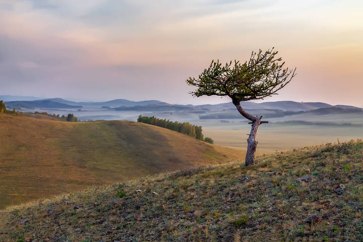 Нелегкая