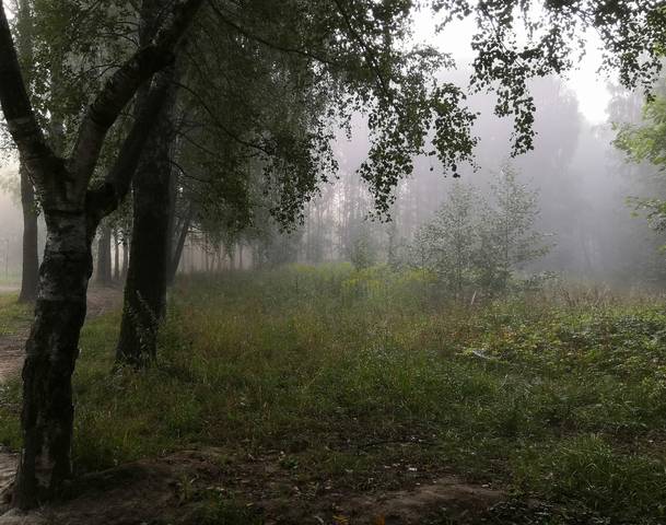 Предосеннее утро