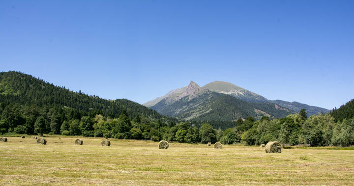 сенокос