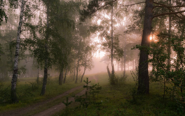 Утренняя дорога.