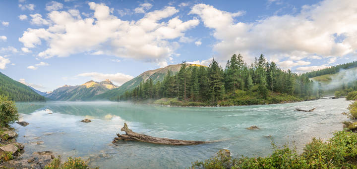 Кучерла