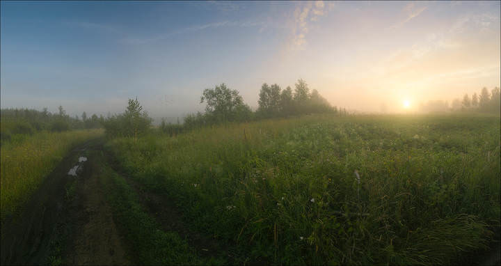 На заре