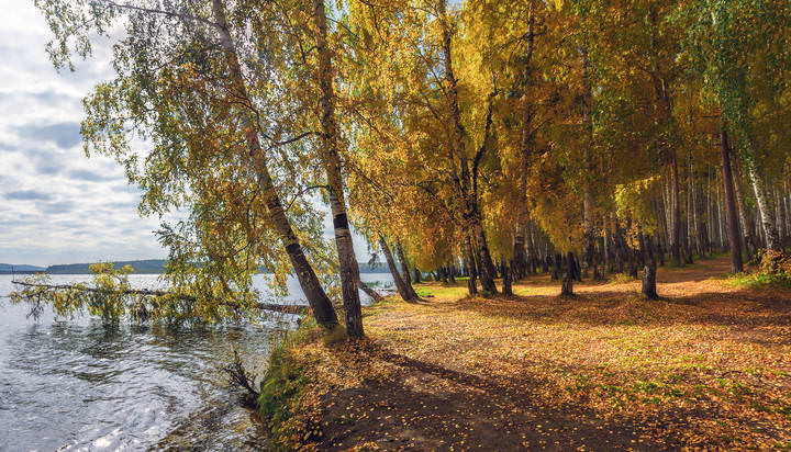 Осенний берег