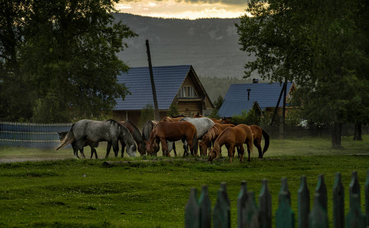 Вечер на сельской улице