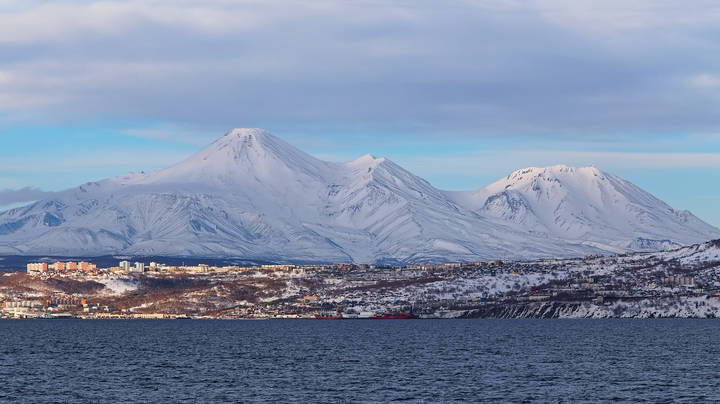 white mounts