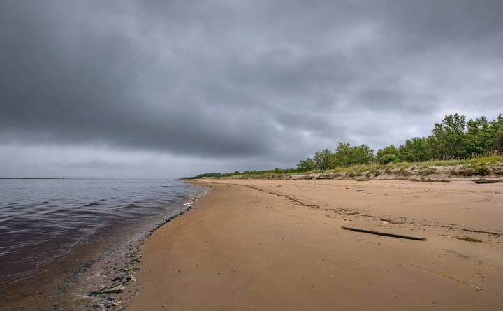 "Берег Белого моря".