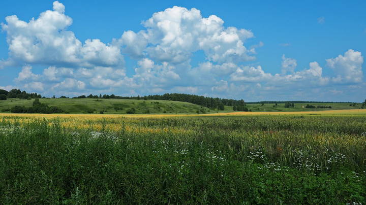 По дороге в село