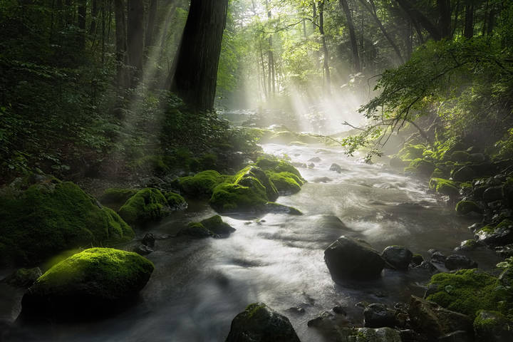 ray of light