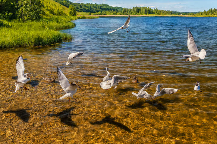 За кусок хлеба