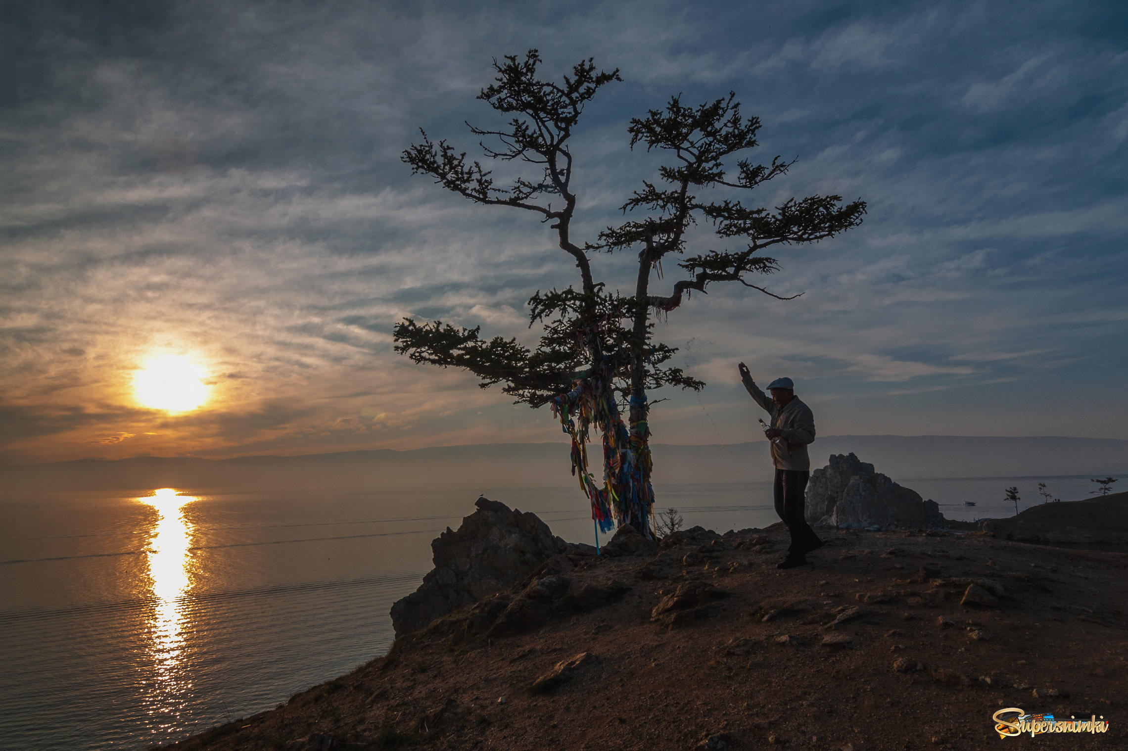Дерево на Байкале с веревками