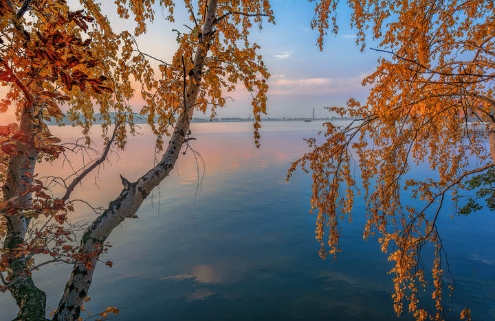Осенние краски