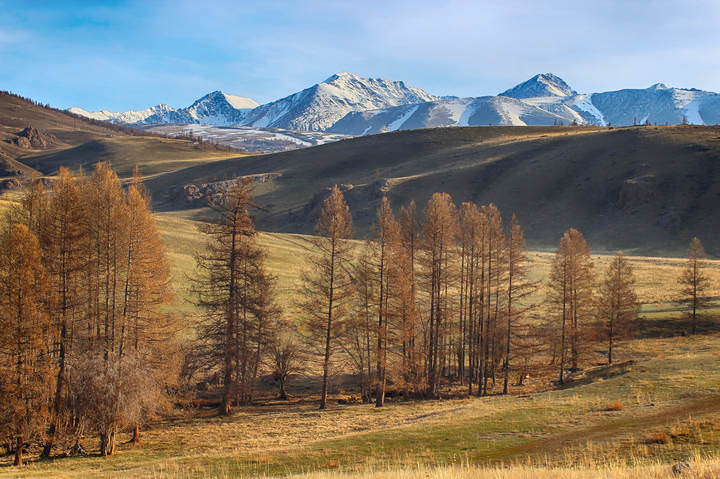 Курайский хребет