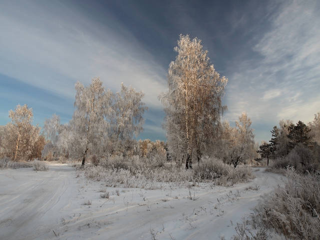 На распутье